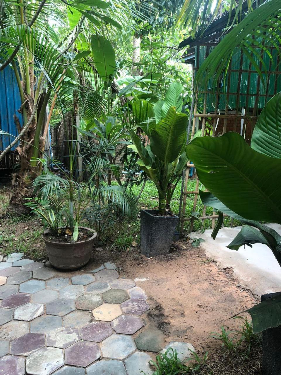 Sok Phen Homestay Siem Reap Exteriér fotografie