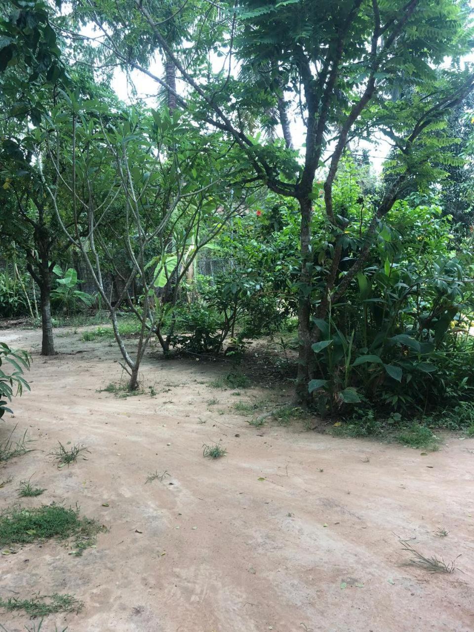 Sok Phen Homestay Siem Reap Exteriér fotografie