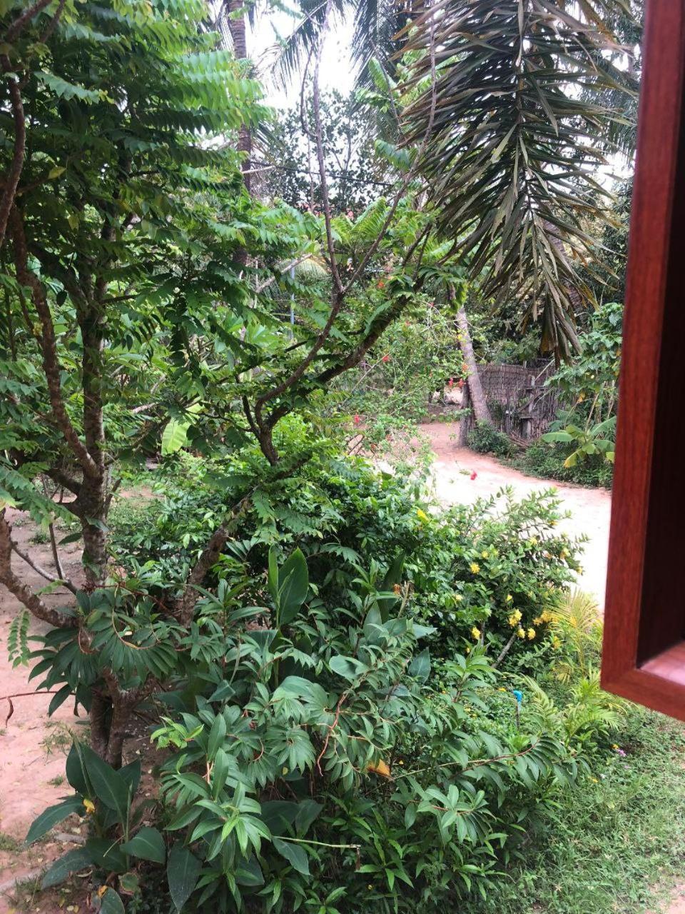 Sok Phen Homestay Siem Reap Exteriér fotografie