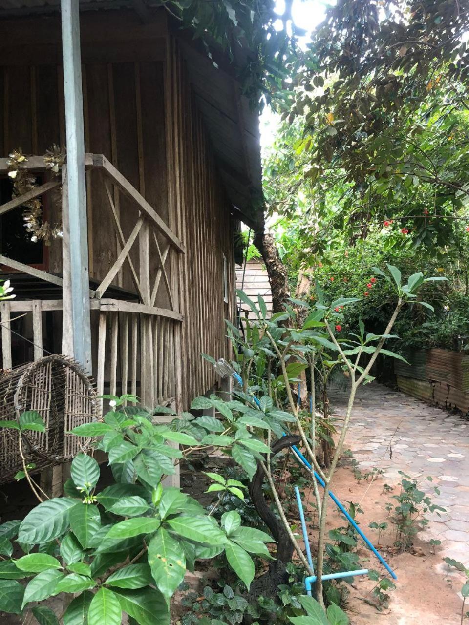 Sok Phen Homestay Siem Reap Exteriér fotografie