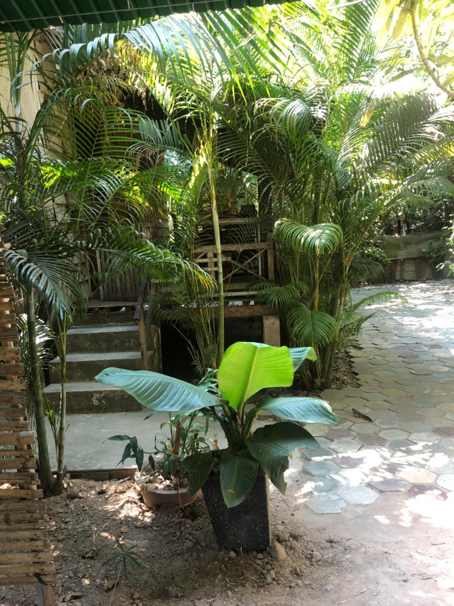Sok Phen Homestay Siem Reap Exteriér fotografie